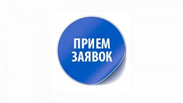 Ваша заявка принята в работу. Заявка на смену имени. Заявки принимаются автоматически. Заявка на смену имени фамилии. Спасибо заявка принята.