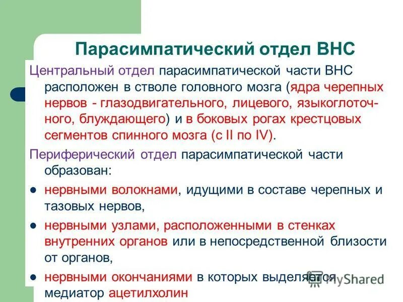 структурно-функциональные особенности вегетативной нервной системы. общая характеристика автономной нервной системы. особенности строения внс. общая характеристика автономной нервной системы. общая характеристика автономной нервной системы.