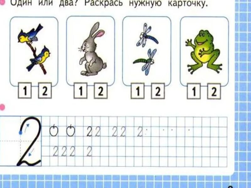 Число и цифра 1 8 вид. Цифра 2 задания для 1 класса. задания с цифрой 1 и 2 для 1 класса. цифра 2 математика 1 класс. число и цифра 2 задания для 1 класса.