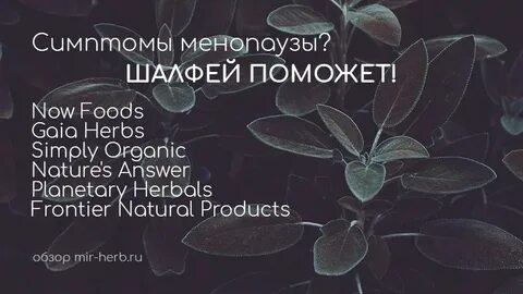 Шалфей при климаксе