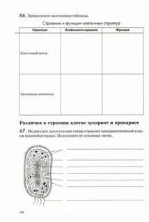 308235 Клетка IrinaAzanova LiveWorksheets