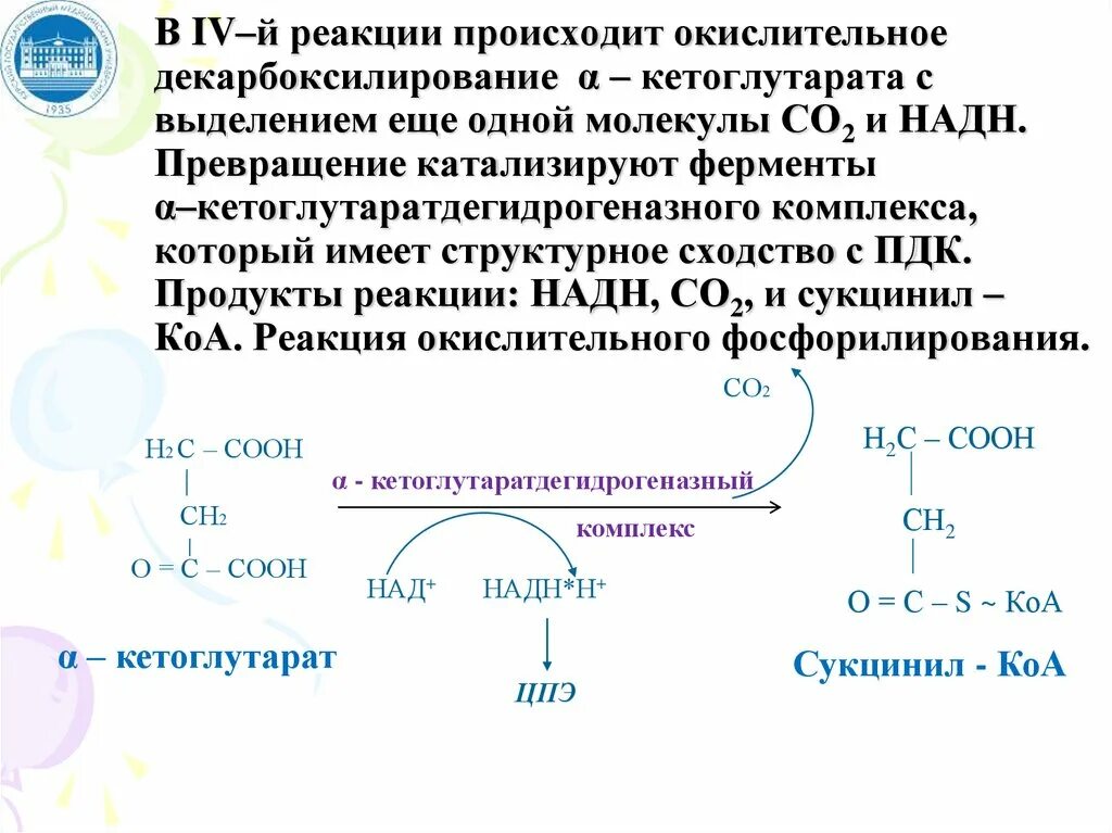 Окислительное декарбоксилирование реакции. Окислительное декарбоксилирование кетоглутарата. Реакция декарбоксилирования. Декарбоксилирование кутоглутарата. Окислительное декарбоксилирование Альфа кетоглутарата.