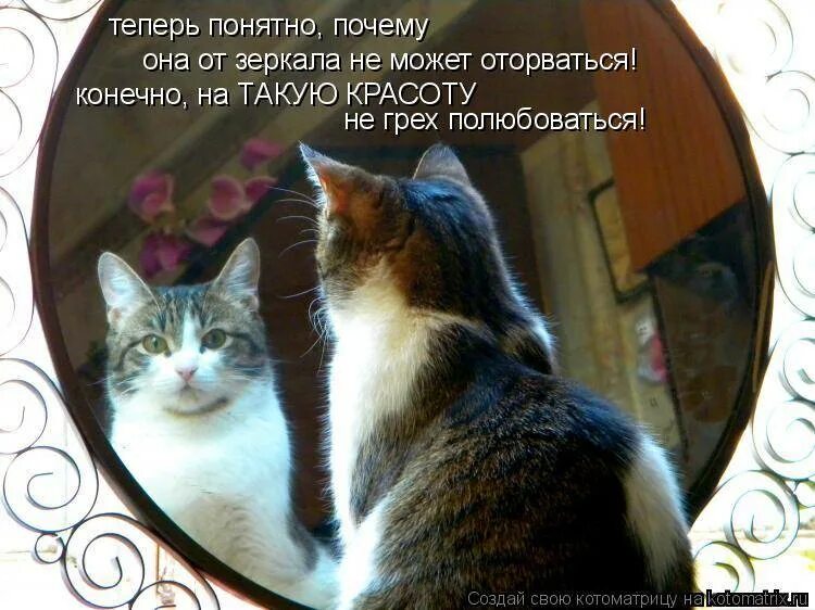 А почему не вижу