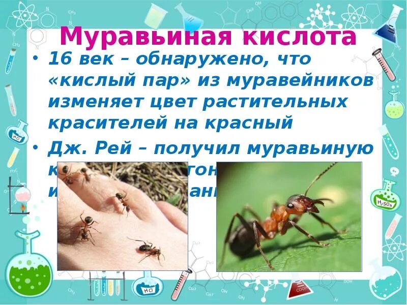 Как применять муравьиную кислоту
