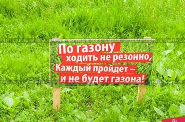 Трава фон. Газон текст. Стих не ходите по газону. Табличка"по газонам ходить запрещено"№28/216*303/данко. Лето трава.