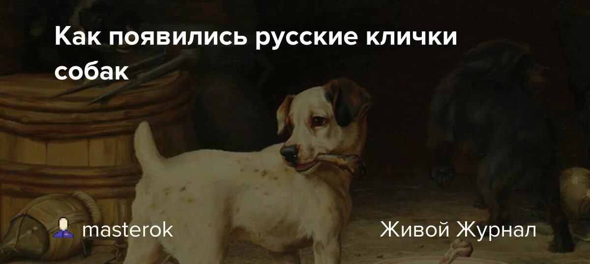 Кличка собака собаки Полкан. Собачья кличка Полкан. Тузик кличка. Тузик и Полкан.