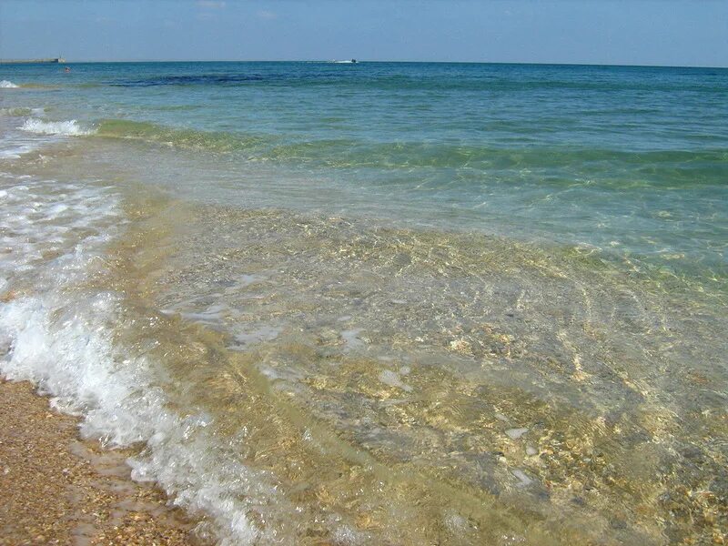 Берег крыма береговое. Береговое Феодосия море. Феодосия поселок Береговое золотой пляж. Пляж Береговое Крым 2022. Пляж Береговое Крым Феодосия.