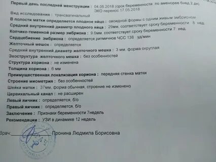 Хорион 9 недель