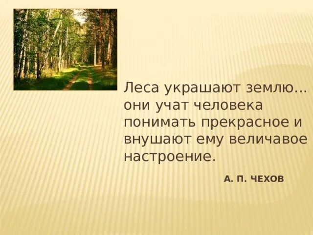 Леса украшающие нашу землю радуют глаз человека. Леса учат человека понимать прекрасное леса. Лес учит человека понимать прекрасное Чехов. Леса украшающие нашу землю радуют. Чехов лес.