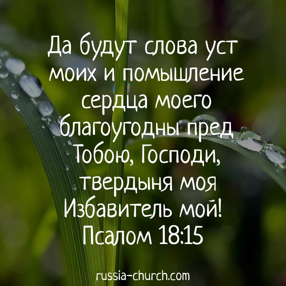 Слова из библии картинки. Стихи из Библии. Христианские цитаты. Открытки со стихами из Библии. Слова из Библии.