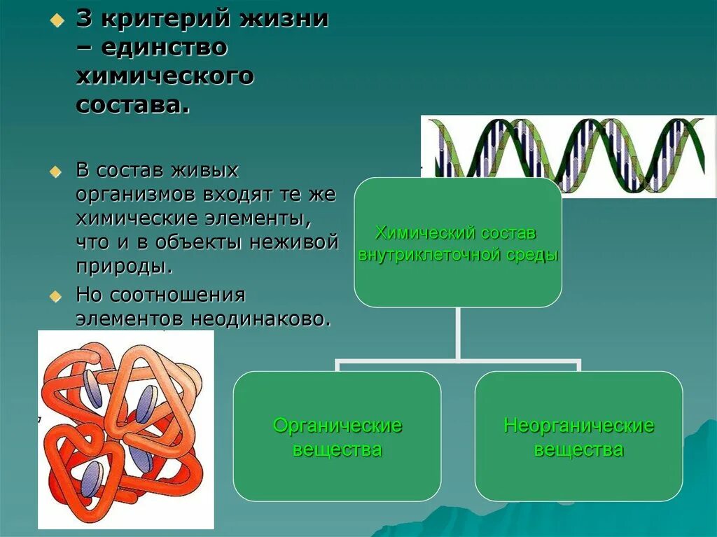 Неживые организмы состоят. Единство химического состава живой и неживой природы. Единство хим состава живых организмов. Единство химического состава это в биологии. Что входит в состав живых организмов.