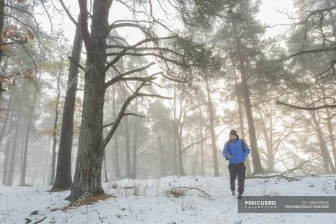 Through the snow