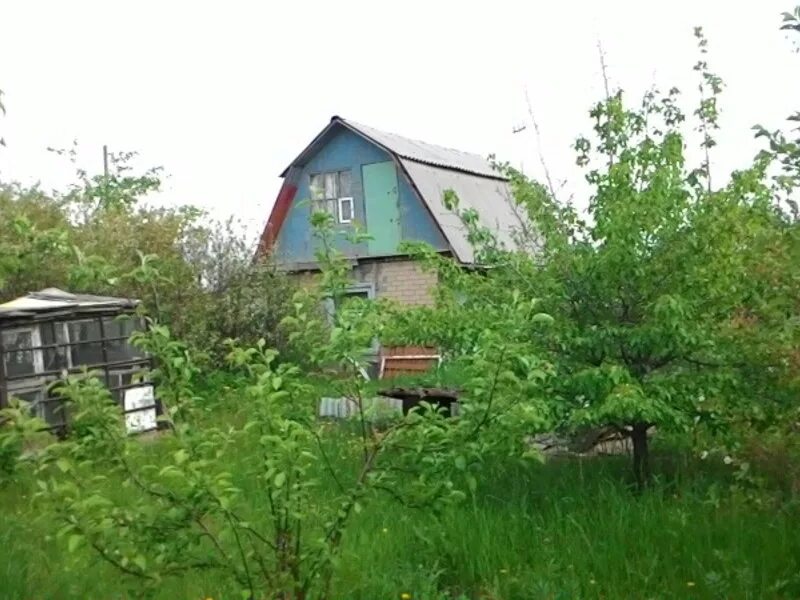 Сады покупка продажа. Сады в Чурилово Челябинск. Сады в Чурилово Челябинск в Тракторосаде 4. Тракторосад 4 Челябинск. Садовые участки СНТ Тракторосад.