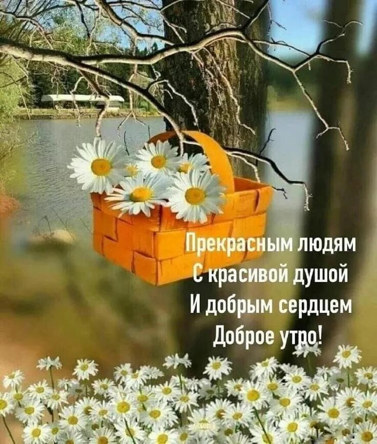 Самое главное просто дожить до весны, - Поэзия - 1566410 - Tabor.ru