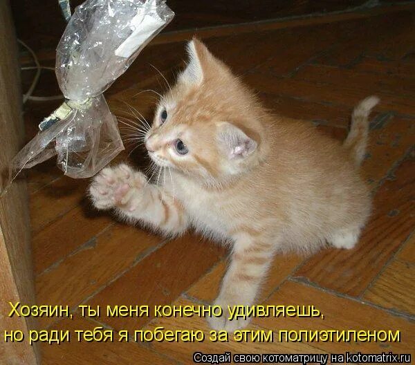 конечно удивила. конечно удивила. находу выход из любой ситуации. удиви меня. верю тебе.