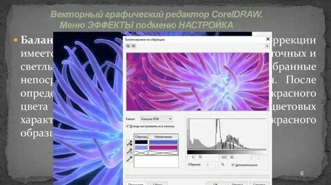 Редактор coreldraw является