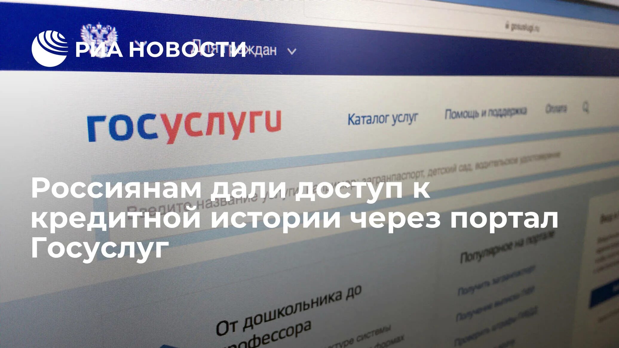 Госуслуги могут ли мошенники оформить кредит. Госуслуги. Мошенники на госуслугах. Госуслуги РИА. Госуслуги Нижегородская область.