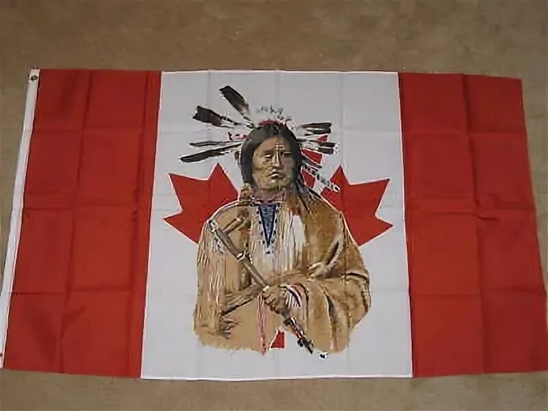 Индейцы канады 5 букв. Флаг индейцев. Флаг коренных американцев. Флаг индейцев Северной Америки. Канадские индейцы.