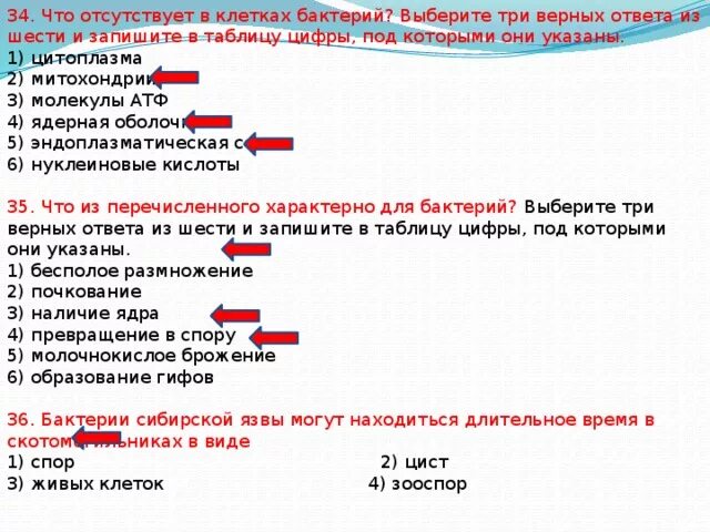 Верное утверждение о бактериях. Выберите три верных ответа из шести. Выберите три верных ответа. Выберите три верных ответа из шести и запишите. Выберитетри верныз ответа ТЗ шести.