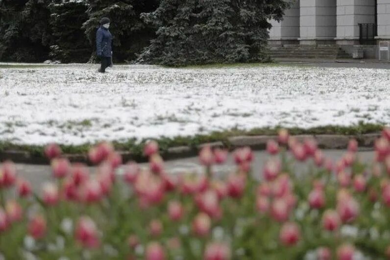 Где выпал снег в россии сегодня. Снег в Москве май 2017. Летом выпал снег в Москве. Майский снег в Москве. Снег летом в Москве.