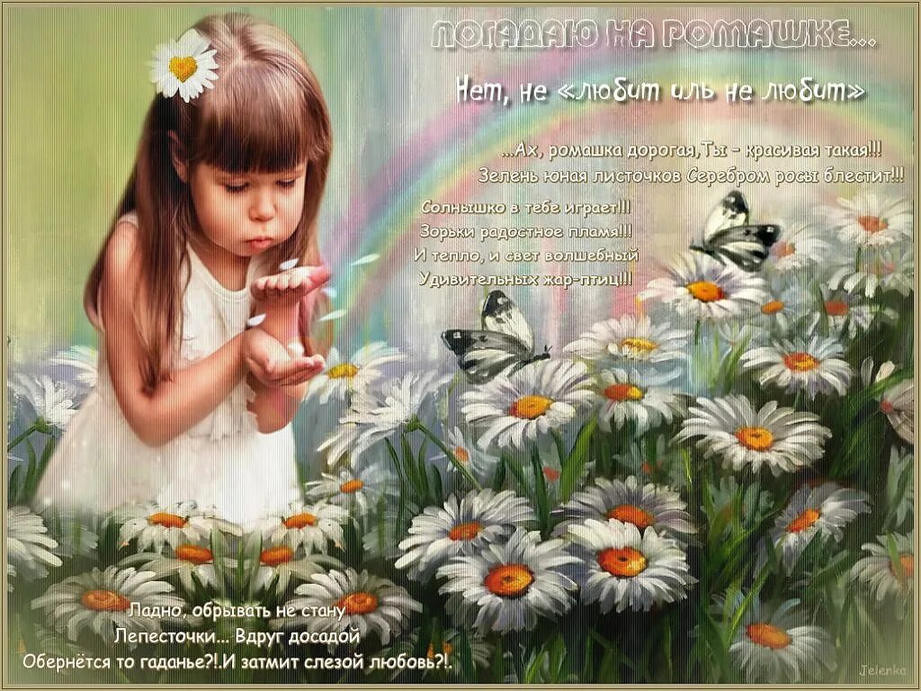 песня гадаю на ромашке текст