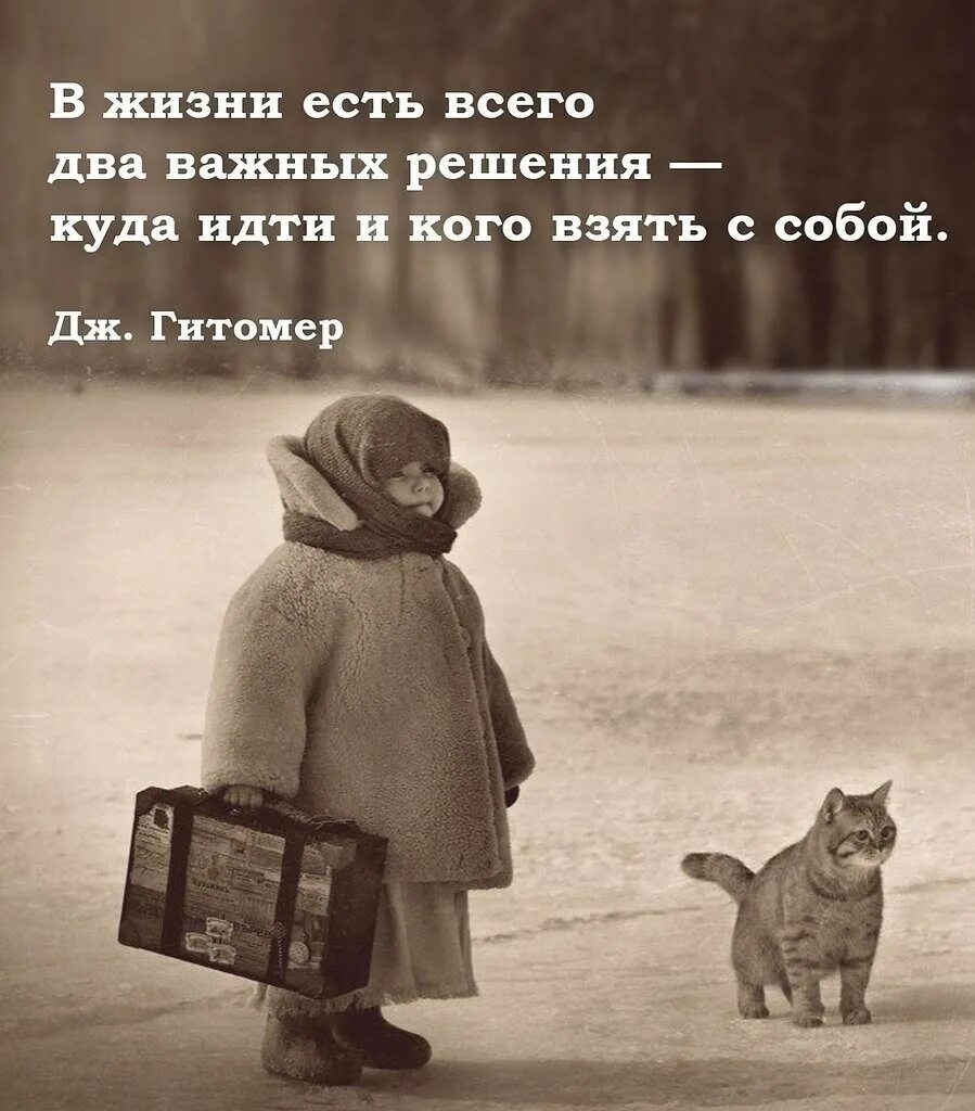 В жизни есть всего два важных решения куда идти и кого взять с собой. В жизни есть всего два важных решения. И пусть тебя полюбит лошадь злая. А Я уйду обид не замечая конфетку шоколадную жуя