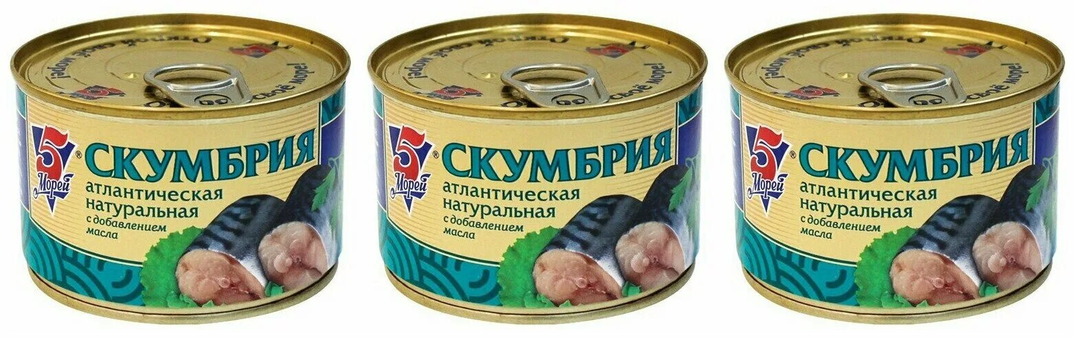 Скумбрия рыбное меню атлантическая натуральная в масле 250 г. Скумбрия консервы. Рыбные консервы. Скумбрия атлантическая натуральная с добавлением масла 250 г. Скумбрия атлантическая морской котик.