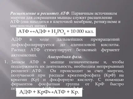 Мощность ресинтеза атф