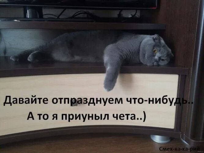 Давай что нибудь поновее. Давайте что-нибудь отпразднуем. давайте что-нибудь отпразднуем приуныла чёта. давайте что-нибудь отпразднуем картинка. картинки давайте уже что нибудь отпразднуем.