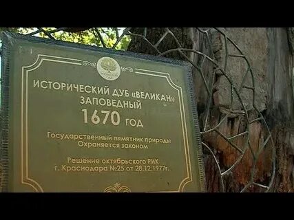 Решение октябрьского