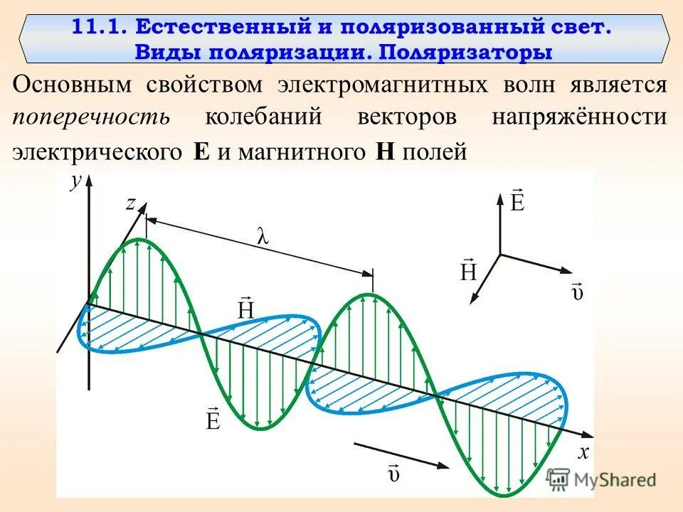 Формы поляризации