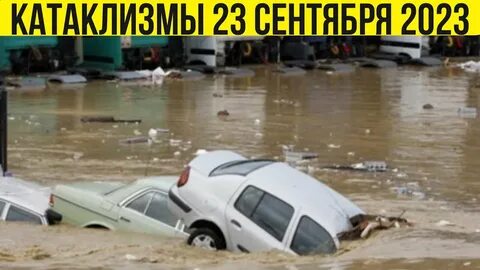 Потоп ценою