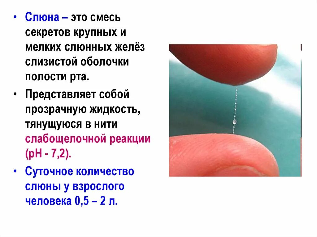 Слюна как вода. Слюна и ротовая жидкость. Слюна определение.