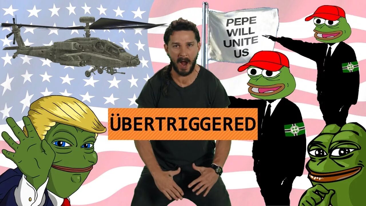He will not divide us что значит. He will not divide us. флаг he will not divide us frog. шайа лабаф трансформеры he will not divide us.