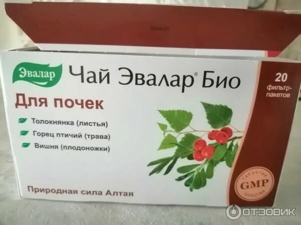 Гипотензивный чай эвалар. Почечный чай Эвалар био. Чай мочегонный Эвалар био. Эвалар чай био для почек ф/п 1,5 г №20. Чай Эвалар био для почек.