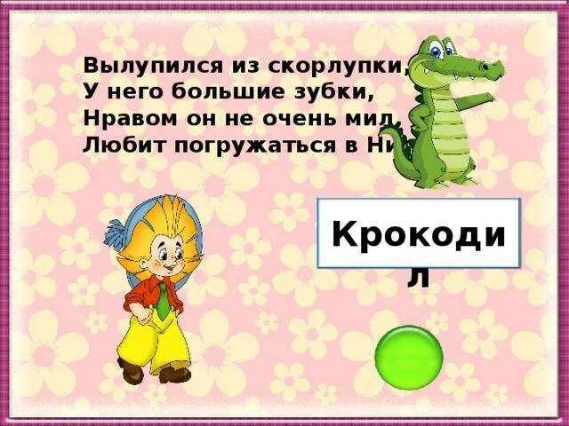 Загадка про крокодила. Загадка про крокодила