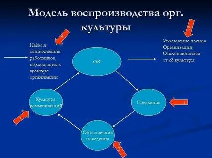 Содержание культуры деятельности