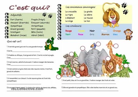 Qui est ce que c est