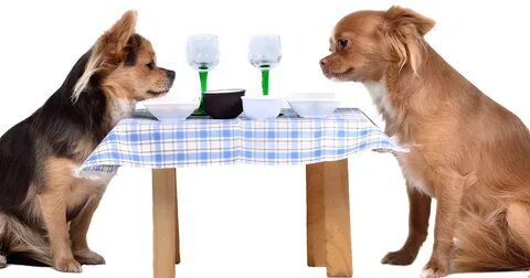 Choose pet