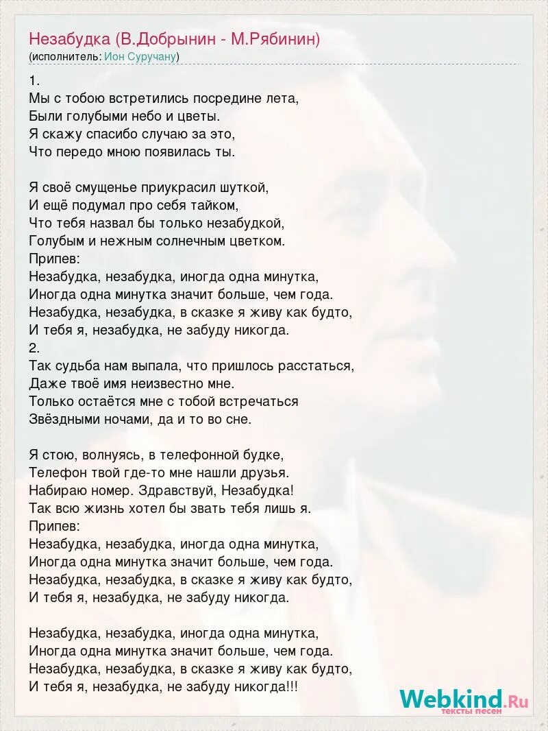 Песня про незабудку. Незабудка слова текст. Текст песни Незабудка. Незабудка цветок текст песни.