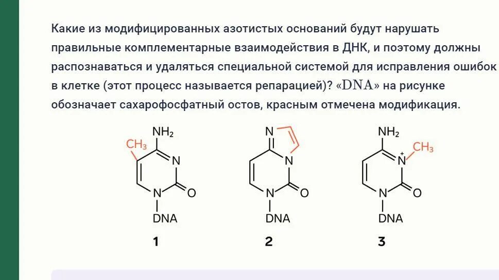 Водородные между азотистыми основаниями. Комплементарные пары азотистых оснований ДНК. Структура азотистых оснований. Комплементарные азотистые основания. Комплементарные азотистые основания в ДНК.