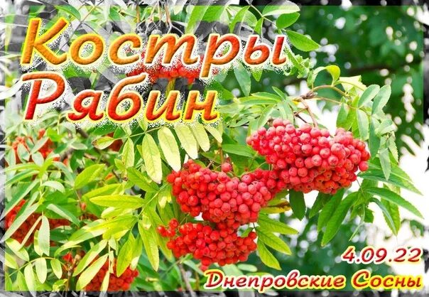 Стих костер рябины красной. Костер рябины красной рисунок. Стих костер рябины красной. Зимняя рябина стихи. Костры рябин.