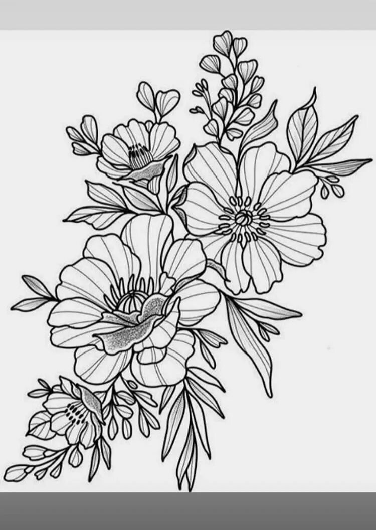 Outline sketching