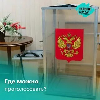 11 октября выборы
