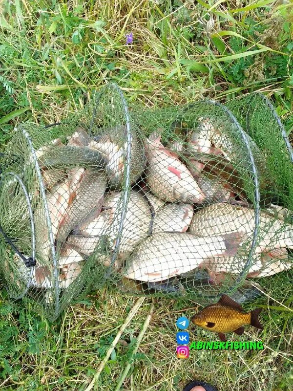 рыбалка абинск крымск