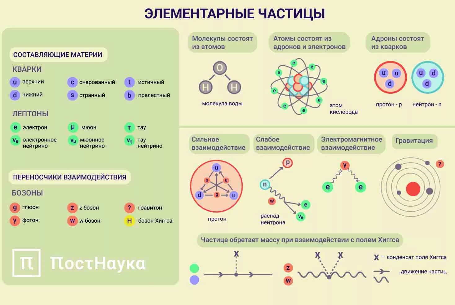 Элементарные частицы образующие энергетические уровни. Какие бывают элементарные частицы. Из чего состоят элементарные частицы. Стандартная модель строения элементарных частиц.