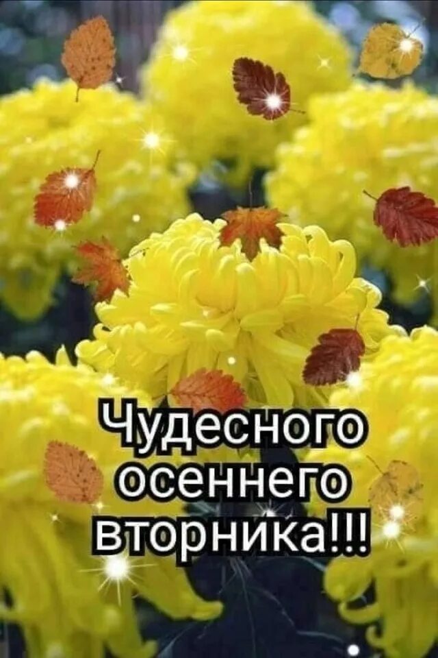 Доброго благословенного сентябрьского дня. Доброго осеннего вторника. с добрым осенним утром вторника. открытки с добрым утром вторника осенние. доброго вторника осень.