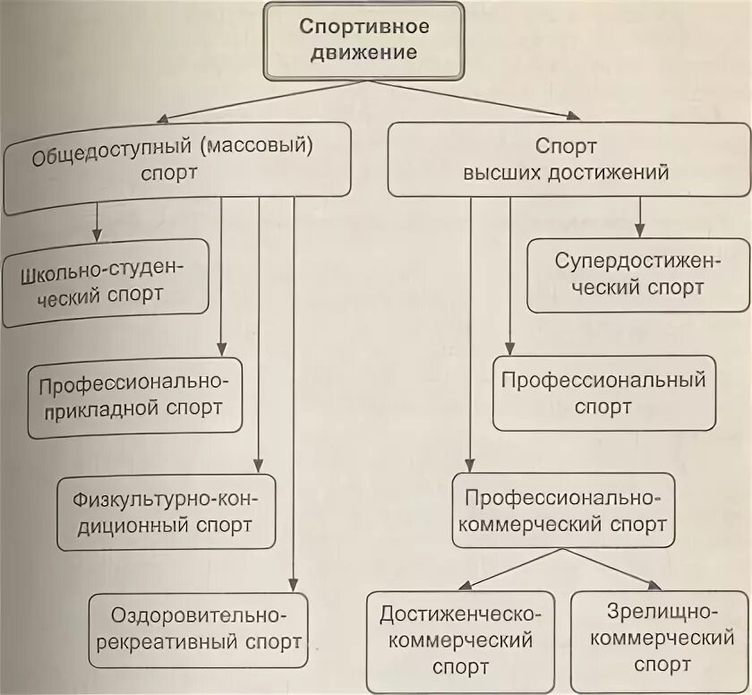 Управление массовым спортом. Направления спортивного движения. Основные направления развития спортивного движения. Направления физкультурного движения. Основные направления спорта высших достижений.