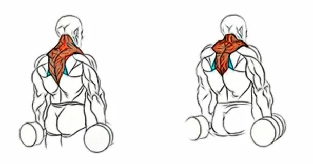 Шея гантелями. Упражнения для накачивания мышц шеи. Прокачка шраги гантелями. Упражнения для качания шеи. Упражнения для прокачки шеи.