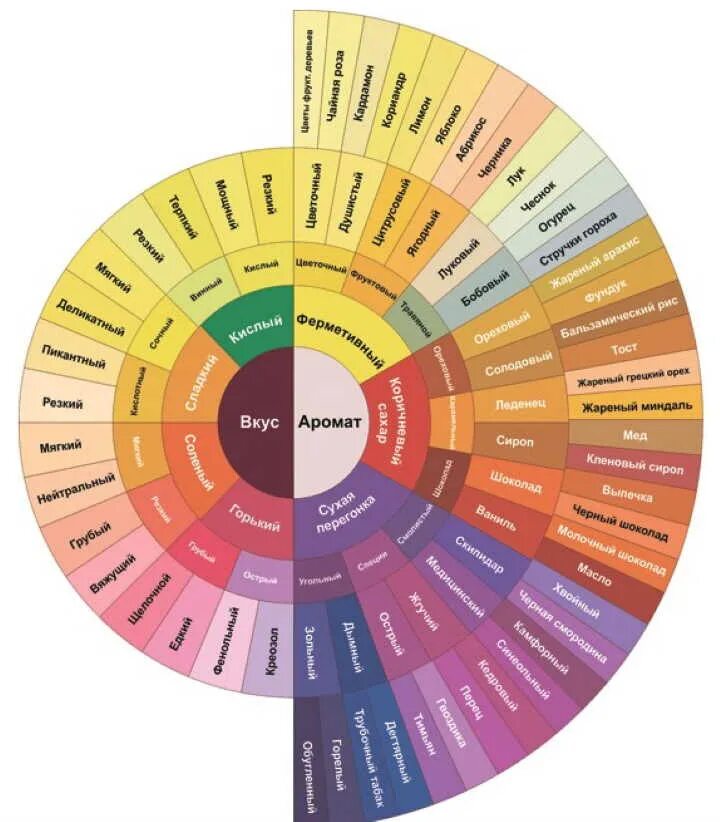 Многообразие вкусов. Колесо вкусов кофе SCA. Колесо дескрипторов кофе. Диаграмма вкуса и аромата кофе. Диаграмма вкусов кофе.